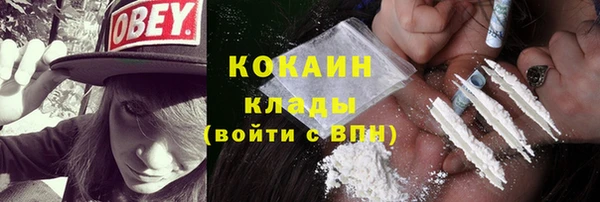 гашик Белокуриха
