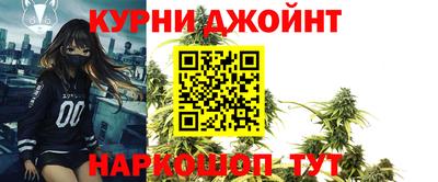 гашик Волгодонск