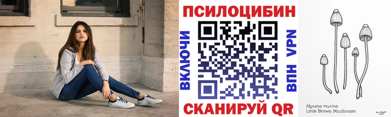 купить закладку  Свободный  Псилоцибиновые грибы ЛСД 