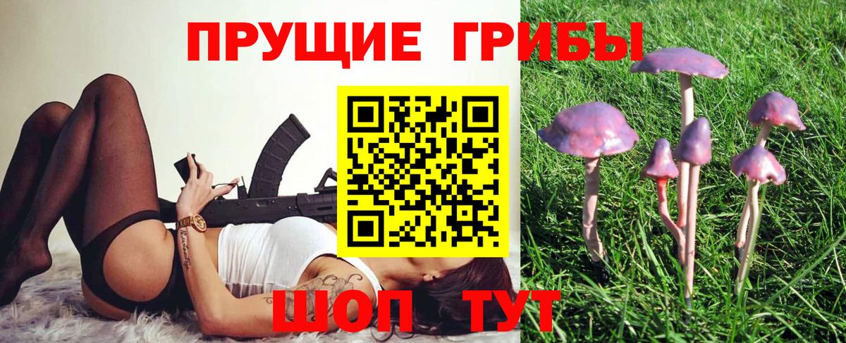 Псилоцибиновые грибы GOLDEN TEACHER  Вход с VPN  Галлюциногенные грибы ЛСД  Свободный 